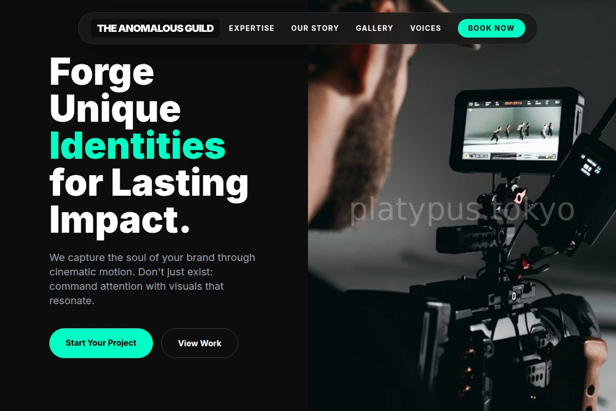 Vector Video Production